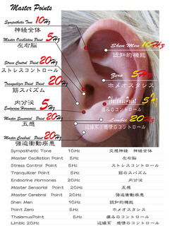 おり1.jpg